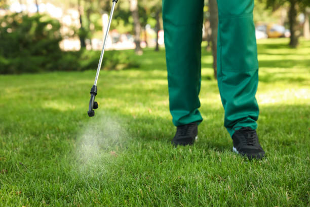 Best Pest Control Near Me  in Chisholm, MN