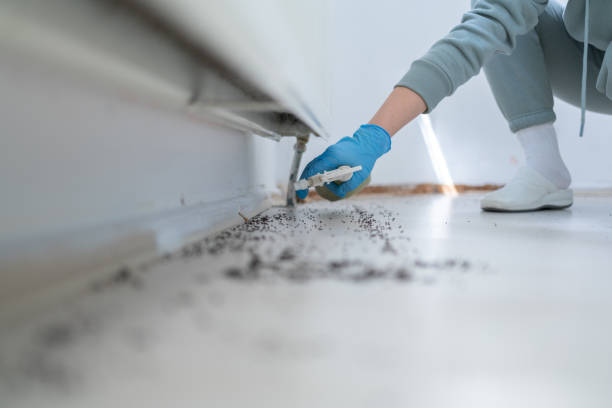 Best Residential Pest Control  in Chisholm, MN