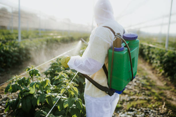 Best Local Pest Control Services  in Chisholm, MN